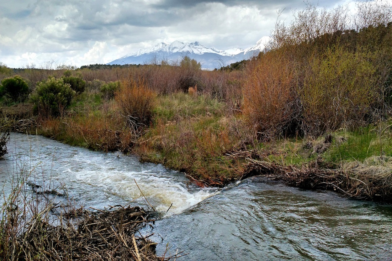 Colorado Dream Land