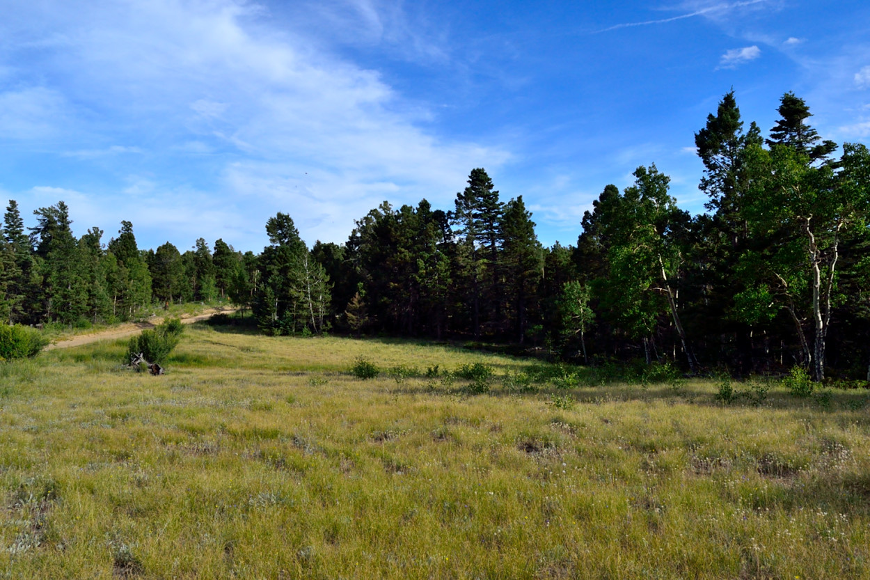 Colorado Dream Land