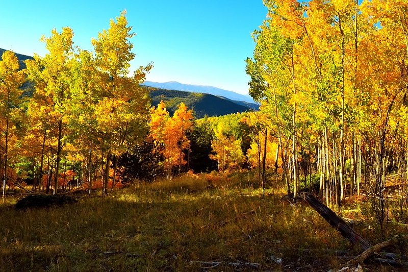 Views of the property during the fall season. Property has great mountain views.