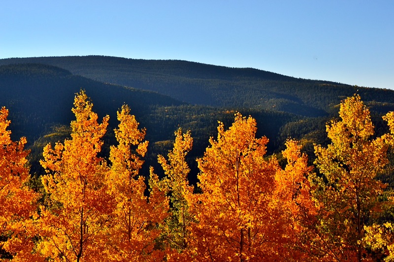 Views from the front/east side of the property looking southeast at the nearby mountains.