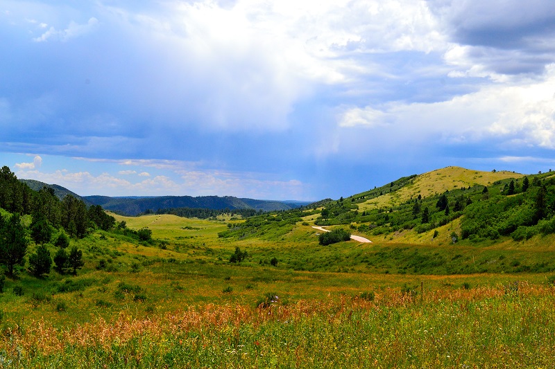 Colorado Dream Land