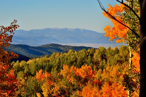 Colorado Dream Land