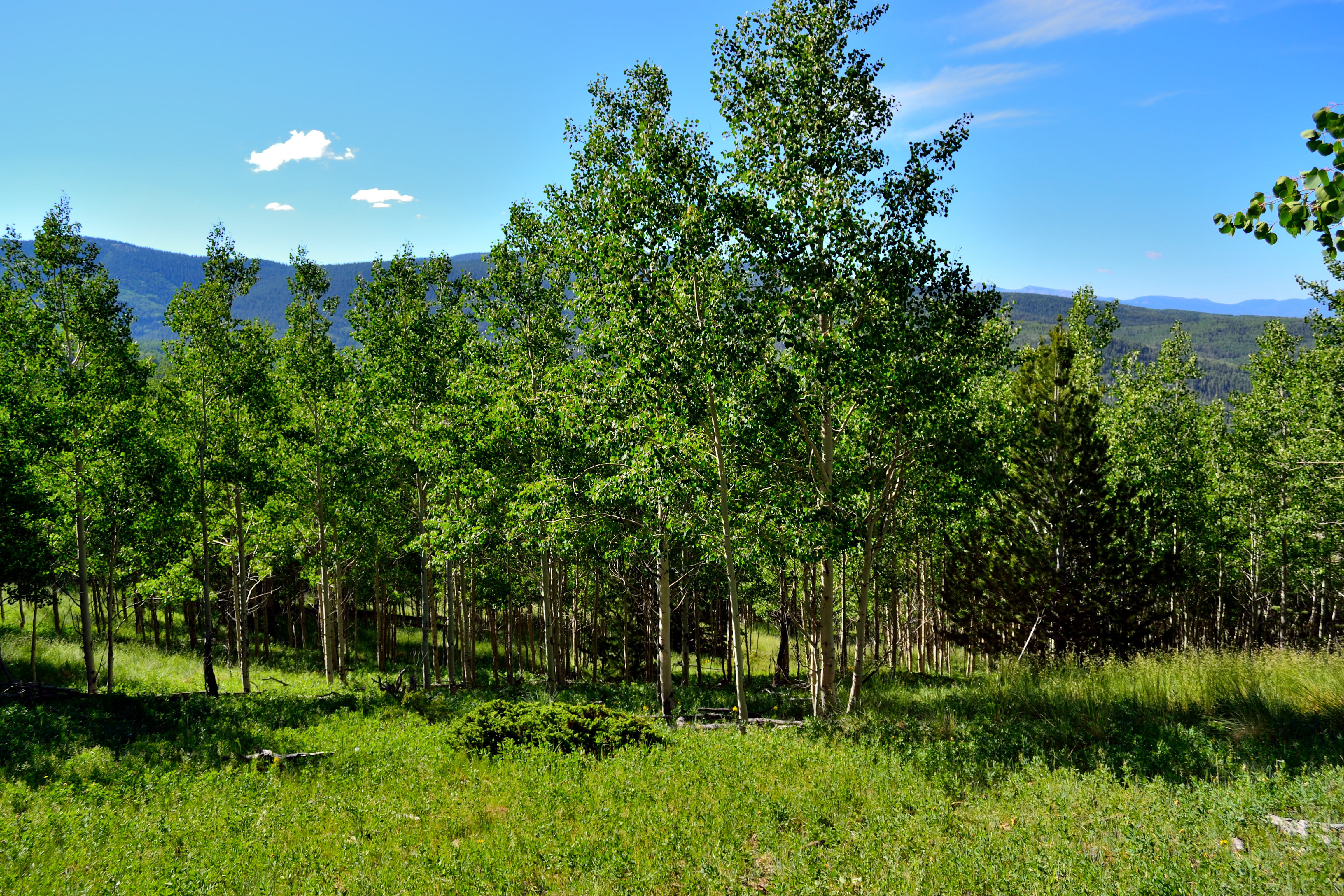 Views of the property. This photo was taken during the summer season.