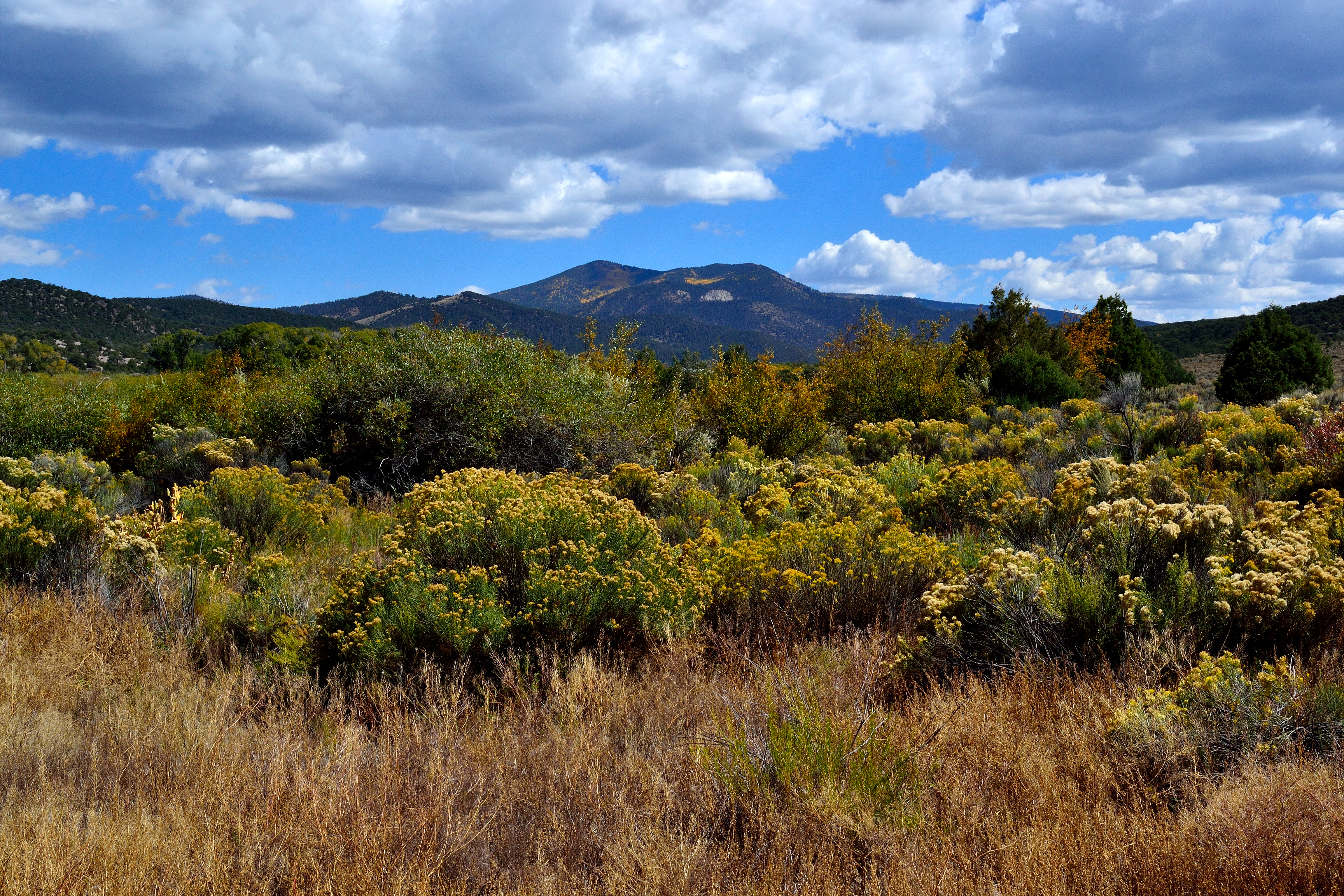 Views of the property and looking east.