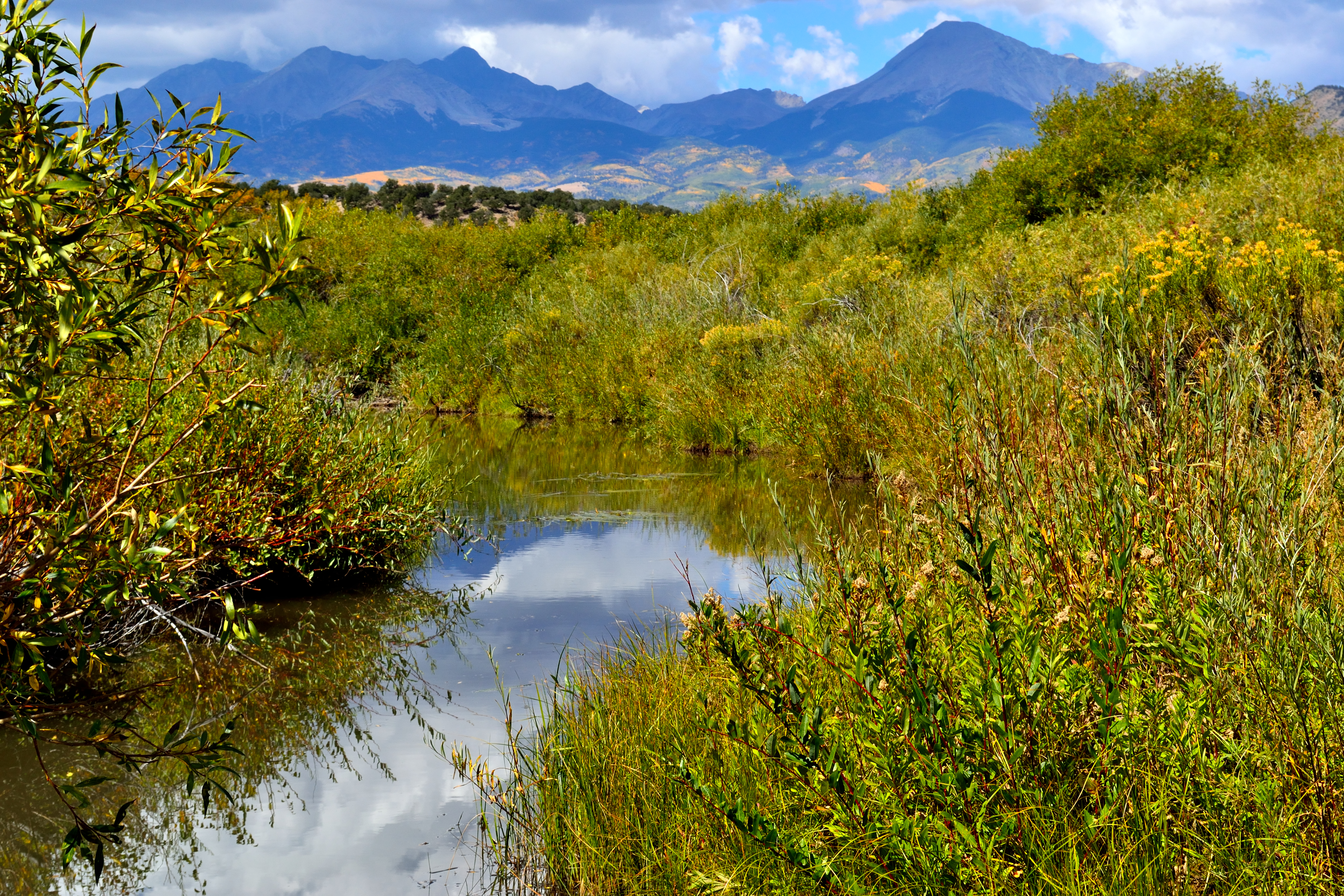 Views of the creek that the property joins.