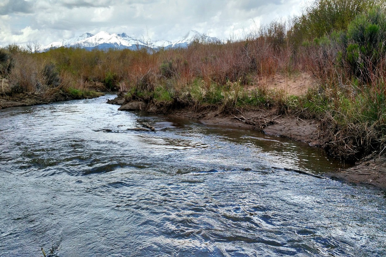 This picture was taken from the backside of the property of the West Indian Creek. Photo was taken during the early spring.